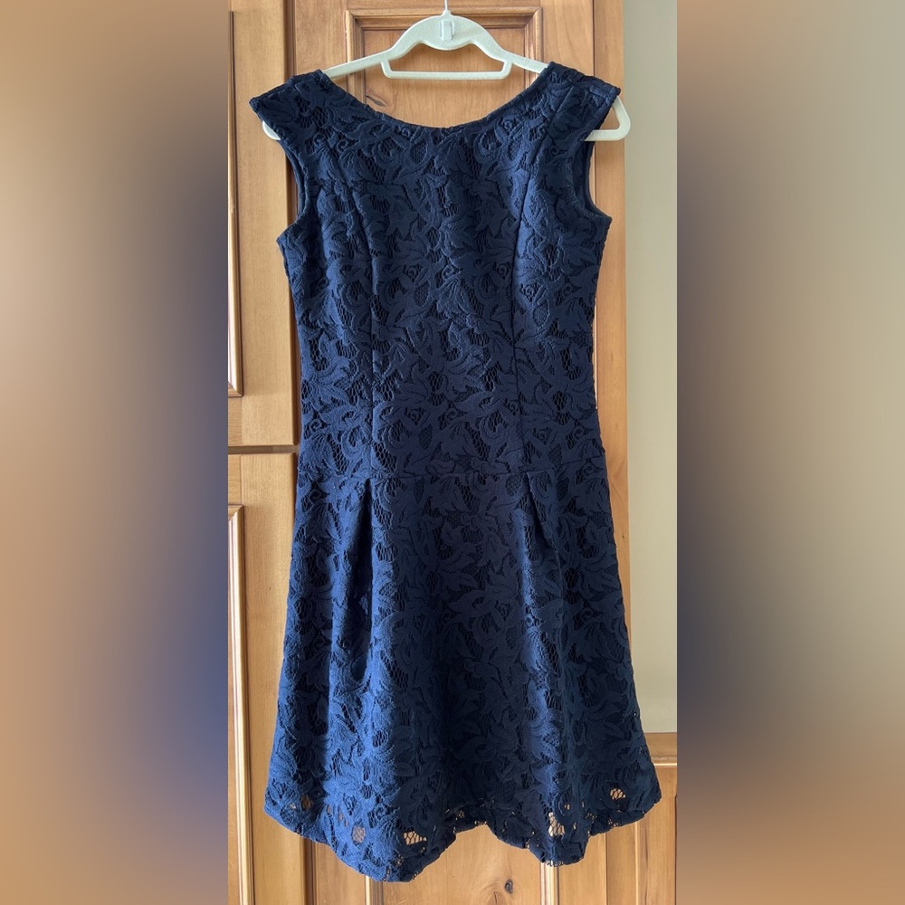 Zara Navy Lace Fit & Flare Dress Small Sleeveless Cocktail Party Formal